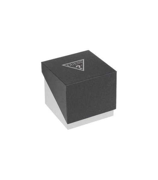 Ceas Atlas W1055G2
